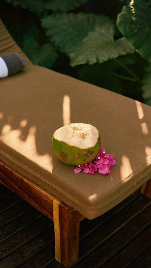 Aldea Paraiso - Adults Only - Boutique Hotel Puerto Escondido  Exteriér fotografie